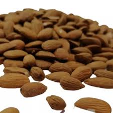 تصویر 1 از بادام درختی تلخ مناسب روغن گیری و مصارف دارویی